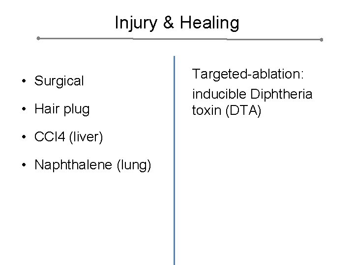 Injury & Healing • Surgical • Hair plug • CCl 4 (liver) • Naphthalene
