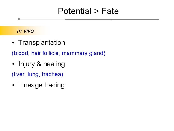 Potential > Fate In vivo • Transplantation (blood, hair follicle, mammary gland) • Injury