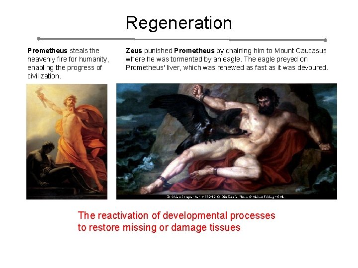 Regeneration Prometheus steals the heavenly fire for humanity, enabling the progress of civilization. Zeus