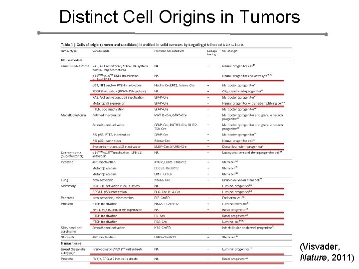 Distinct Cell Origins in Tumors (Visvader, Nature, 2011) 