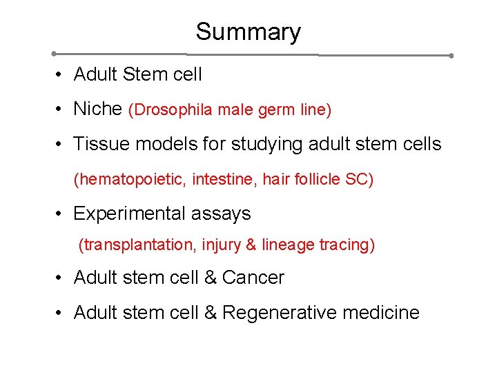 Summary • Adult Stem cell • Niche (Drosophila male germ line) • Tissue models