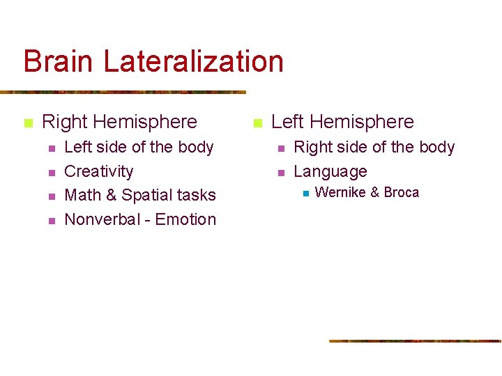 Brain Lateralization n Right Hemisphere n n Left side of the body Creativity Math