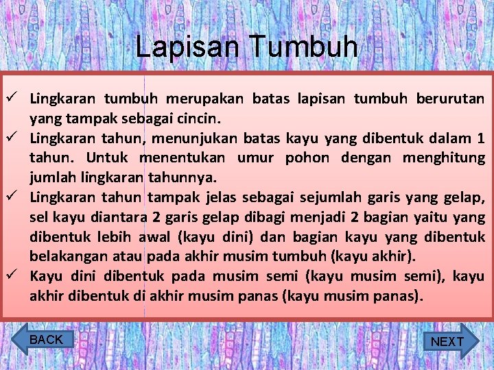 Lapisan Tumbuh ü Lingkaran tumbuh merupakan batas lapisan tumbuh berurutan yang tampak sebagai cincin.