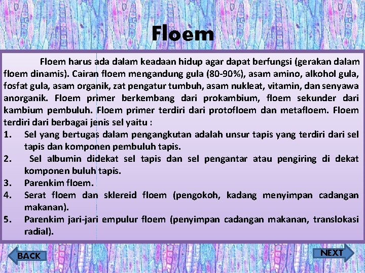 Floem harus ada dalam keadaan hidup agar dapat berfungsi (gerakan dalam floem dinamis). Cairan