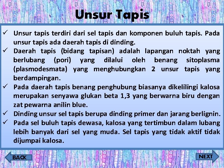 Unsur Tapis ü Unsur tapis terdiri dari sel tapis dan komponen buluh tapis. Pada