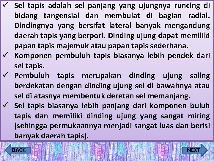 ü Sel tapis adalah sel panjang yang ujungnya runcing di bidang tangensial dan membulat