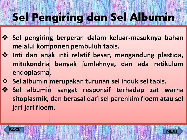 Sel Pengiring dan Sel Albumin v Sel pengiring berperan dalam keluar-masuknya bahan melalui komponen