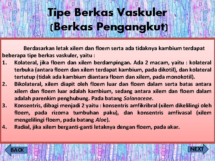 Tipe Berkas Vaskuler (Berkas Pengangkut) Berdasarkan letak xilem dan floem serta ada tidaknya kambium