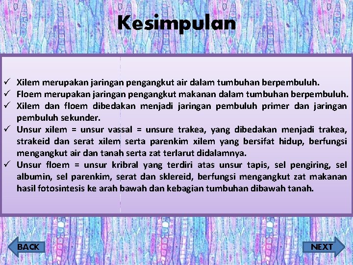 Kesimpulan ü Xilem merupakan jaringan pengangkut air dalam tumbuhan berpembuluh. ü Floem merupakan jaringan