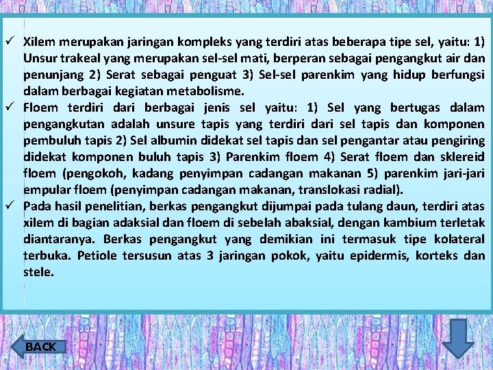 ü Xilem merupakan jaringan kompleks yang terdiri atas beberapa tipe sel, yaitu: 1) Unsur