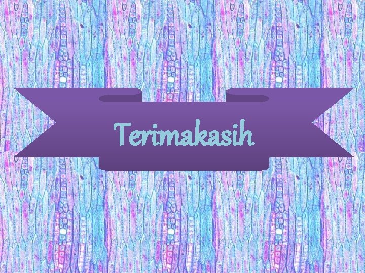 Terimakasih 