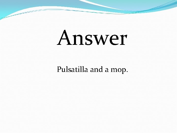 Answer Pulsatilla and a mop. 