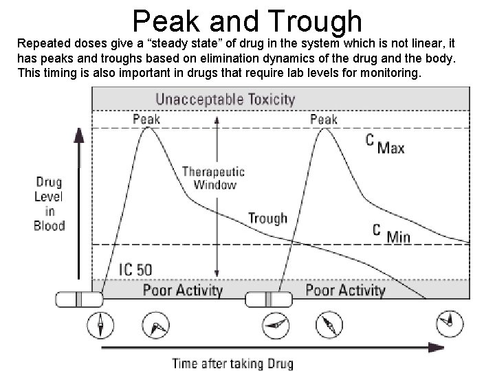 Peak and Trough Repeated doses give a “steady state” of drug in the system