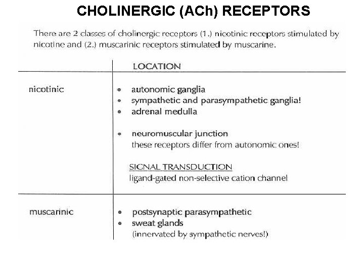 CHOLINERGIC (ACh) RECEPTORS 