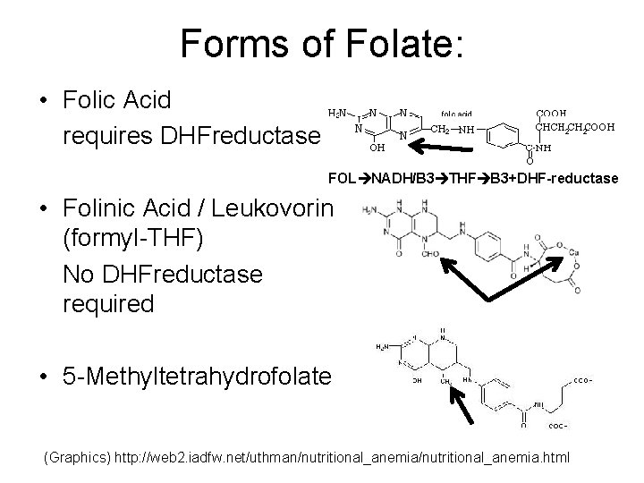 Forms of Folate: • Folic Acid requires DHFreductase FOL NADH/B 3 THF B 3+DHF-reductase