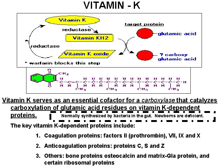 VITAMIN - K Vitamin K serves as an essential cofactor for a carboxylase that