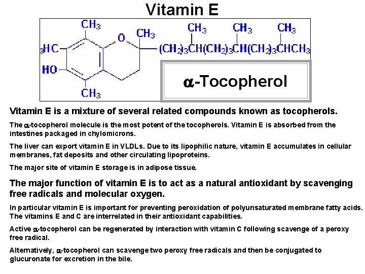 Vitamin E a-Tocopherol Vitamin E is a mixture of several related compounds known as