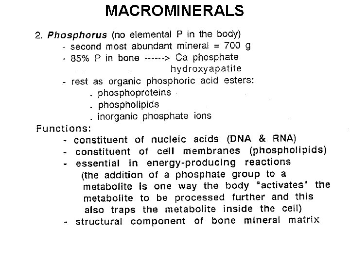 MACROMINERALS 