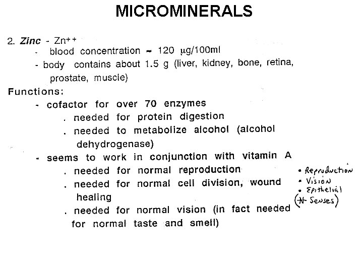 MICROMINERALS 