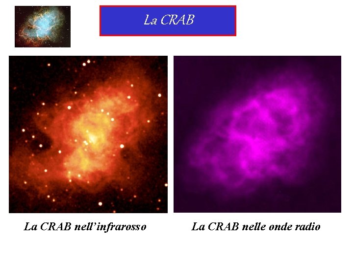 La CRAB nell’infrarosso La CRAB nelle onde radio 