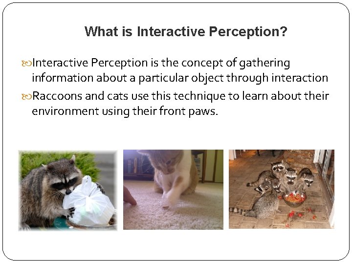 What is Interactive Perception? Interactive Perception is the concept of gathering information about a