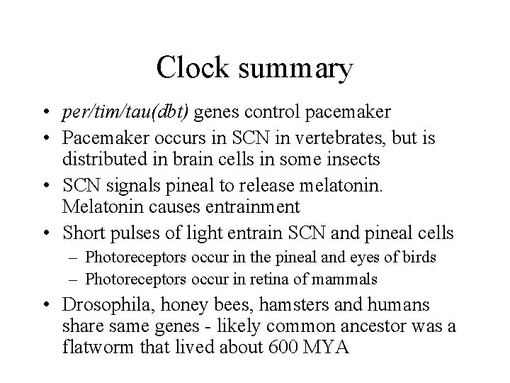 Clock summary • per/tim/tau(dbt) genes control pacemaker • Pacemaker occurs in SCN in vertebrates,