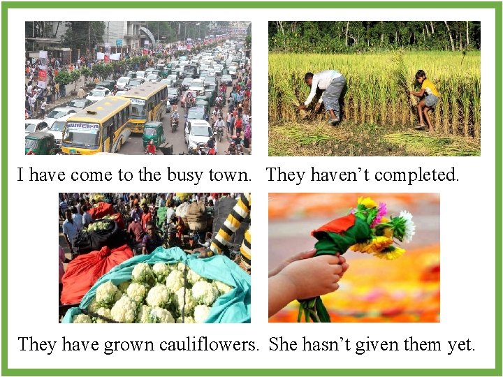 I have come to the busy town. They haven’t completed. They have grown cauliflowers.