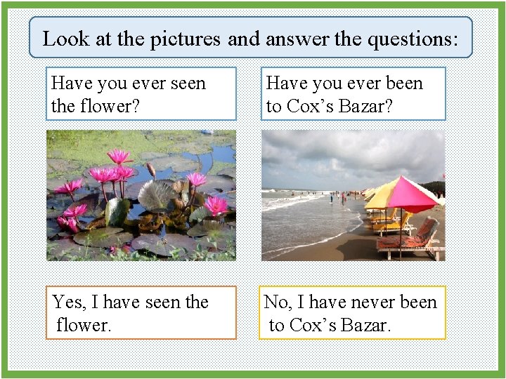 Look at the pictures and answer the questions: Have you ever seen the flower?