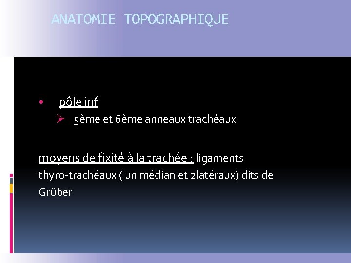 ANATOMIE TOPOGRAPHIQUE • pôle inf Ø 5ème et 6ème anneaux trachéaux moyens de fixité