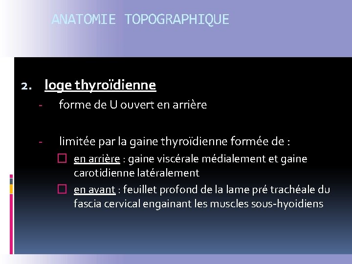 ANATOMIE TOPOGRAPHIQUE 2. loge thyroïdienne - forme de U ouvert en arrière - limitée