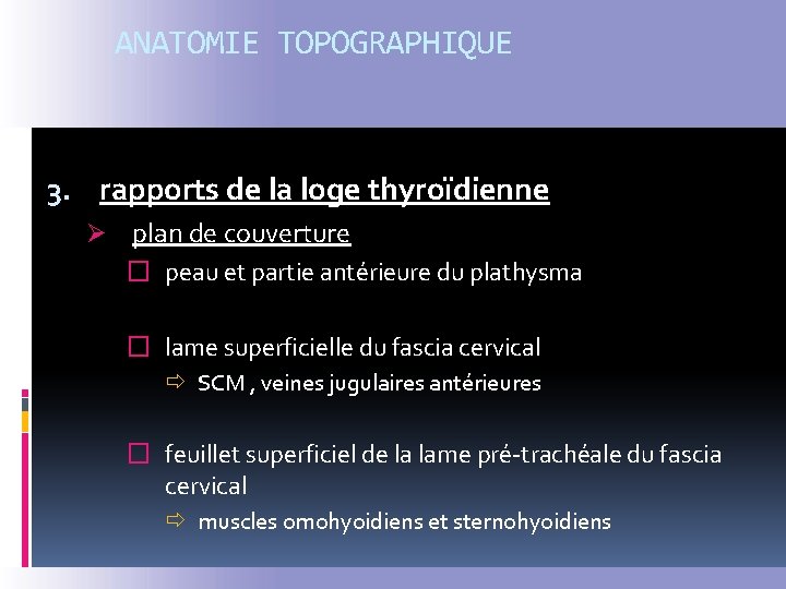 ANATOMIE TOPOGRAPHIQUE 3. rapports de la loge thyroïdienne Ø plan de couverture � peau