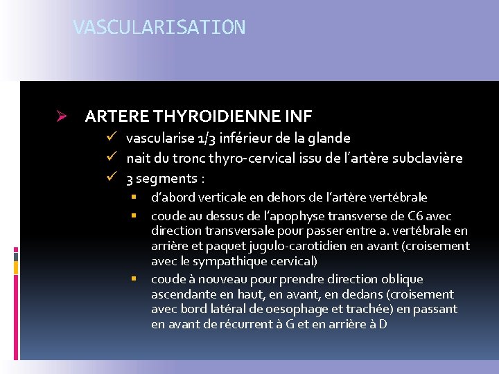 VASCULARISATION Ø ARTERE THYROIDIENNE INF ü vascularise 1/3 inférieur de la glande ü nait