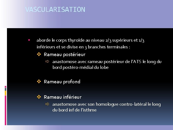 VASCULARISATION § aborde le corps thyroïde au niveau 2/3 supérieurs et 1/3 inférieurs et