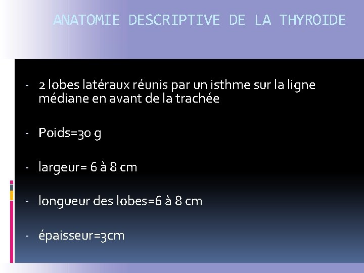 ANATOMIE DESCRIPTIVE DE LA THYROIDE - 2 lobes latéraux réunis par un isthme sur