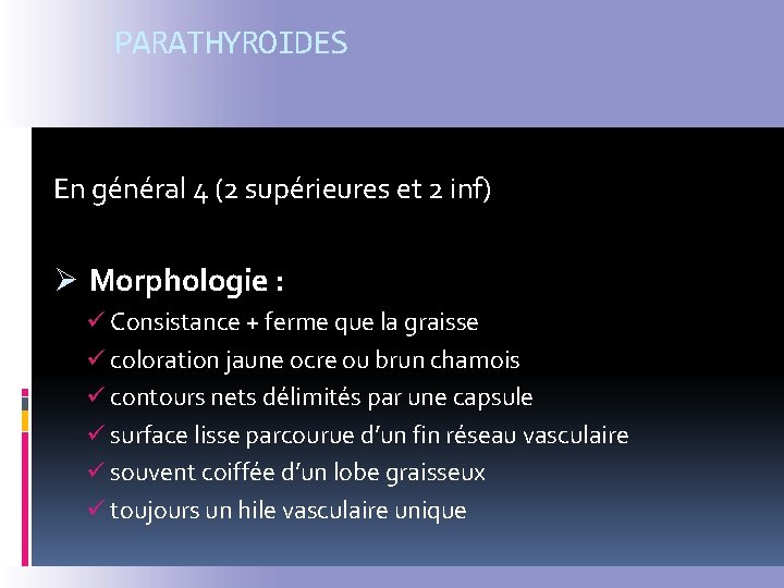 PARATHYROIDES En général 4 (2 supérieures et 2 inf) Ø Morphologie : ü Consistance
