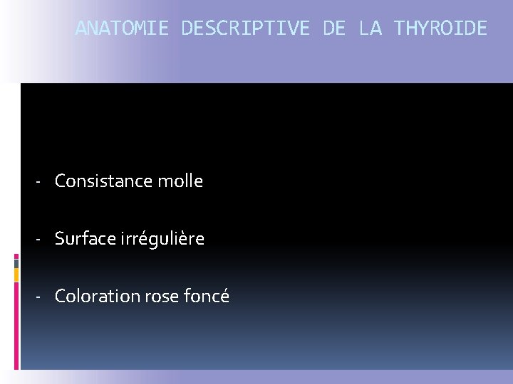 ANATOMIE DESCRIPTIVE DE LA THYROIDE - Consistance molle - Surface irrégulière - Coloration rose