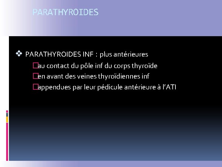 PARATHYROIDES v PARATHYROIDES INF : plus antérieures �au contact du pôle inf du corps