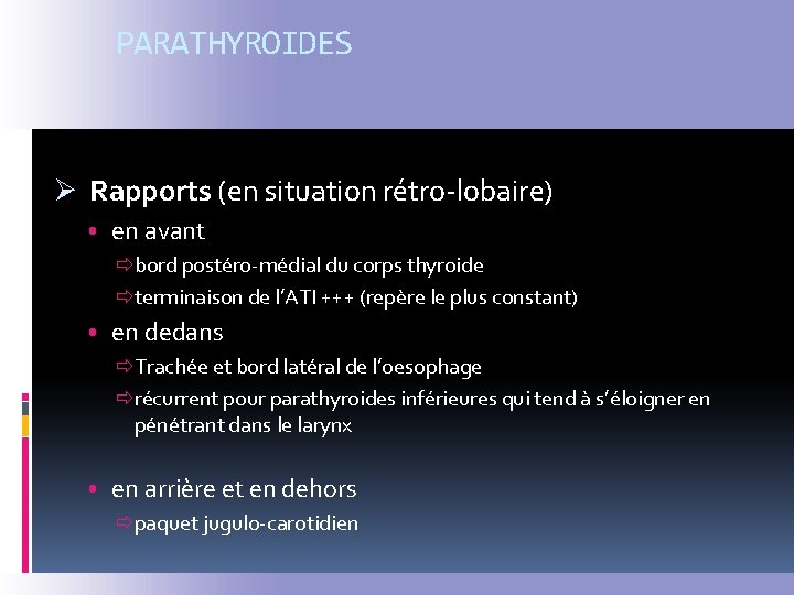 PARATHYROIDES Ø Rapports (en situation rétro-lobaire) • en avant ðbord postéro-médial du corps thyroide
