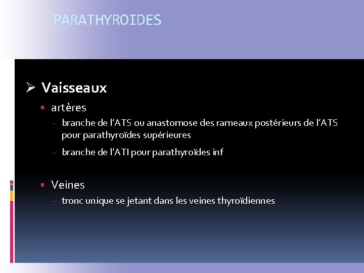 PARATHYROIDES Ø Vaisseaux • artères - branche de l’ATS ou anastomose des rameaux postérieurs