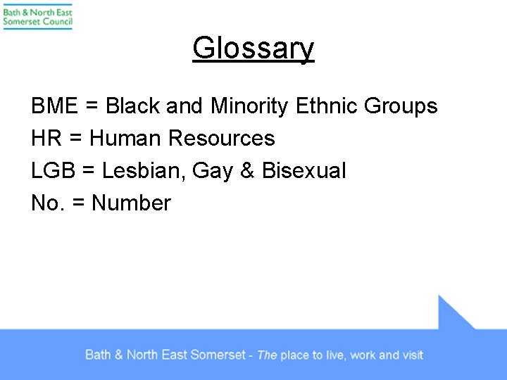 Glossary BME = Black and Minority Ethnic Groups HR = Human Resources LGB =