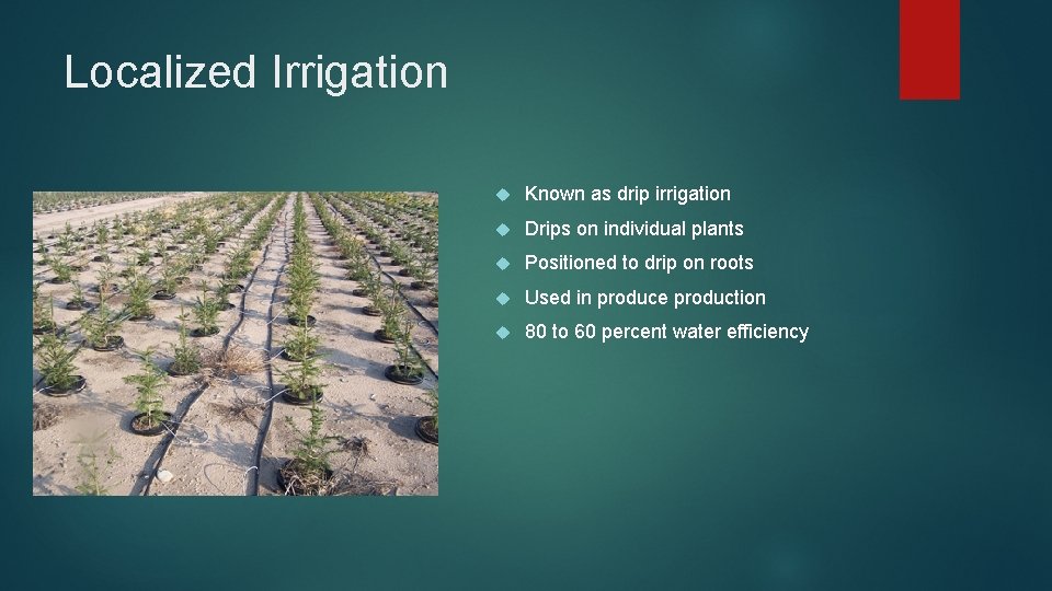 Localized Irrigation Known as drip irrigation Drips on individual plants Positioned to drip on