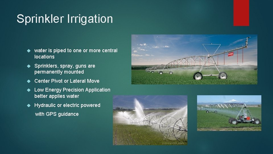 Sprinkler Irrigation water is piped to one or more central locations Sprinklers, spray, guns