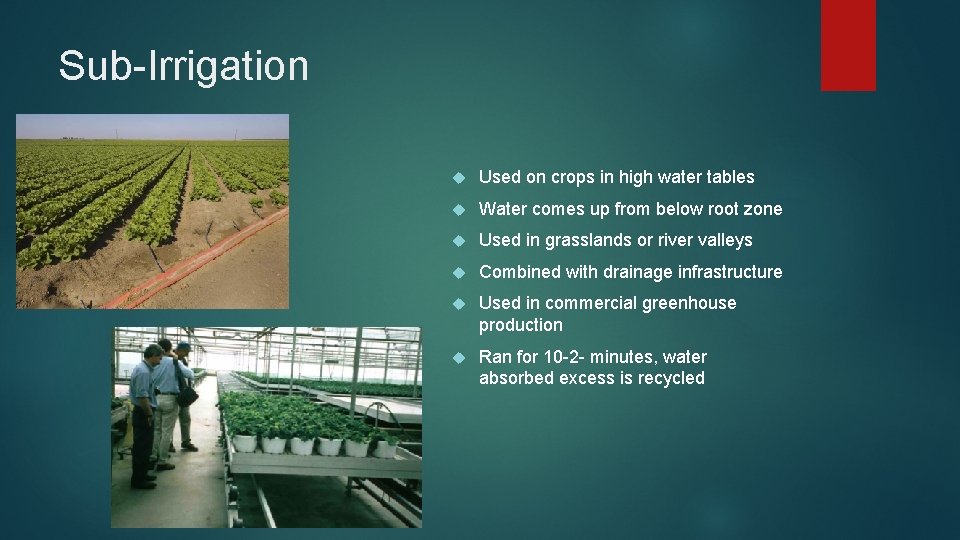 Sub-Irrigation Used on crops in high water tables Water comes up from below root