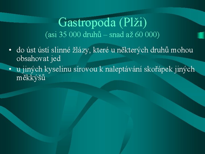 Gastropoda (Plži) (asi 35 000 druhů – snad až 60 000) • do ústí