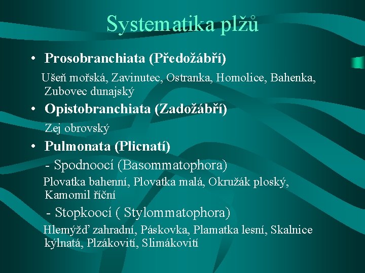 Systematika plžů • Prosobranchiata (Předožábří) Ušeň mořská, Zavinutec, Ostranka, Homolice, Bahenka, Zubovec dunajský •