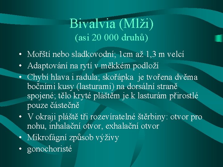 Bivalvia (Mlži) (asi 20 000 druhů) • Mořští nebo sladkovodní; 1 cm až 1,