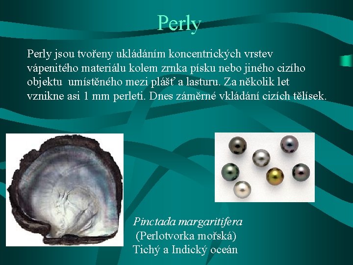 Perly jsou tvořeny ukládáním koncentrických vrstev vápenitého materiálu kolem zrnka písku nebo jiného cizího