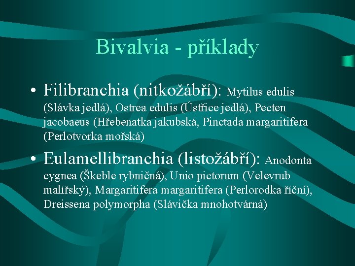 Bivalvia - příklady • Filibranchia (nitkožábří): Mytilus edulis (Slávka jedlá), Ostrea edulis (Ústřice jedlá),