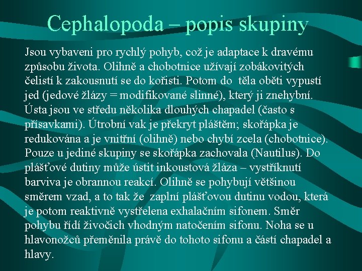 Cephalopoda – popis skupiny Jsou vybaveni pro rychlý pohyb, což je adaptace k dravému