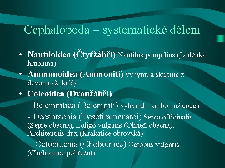 Cephalopoda – systematické dělení • Nautiloidea (Čtyřžábří) Nautilus pompilius (Loděnka hlubinná) • Ammonoidea (Ammoniti)